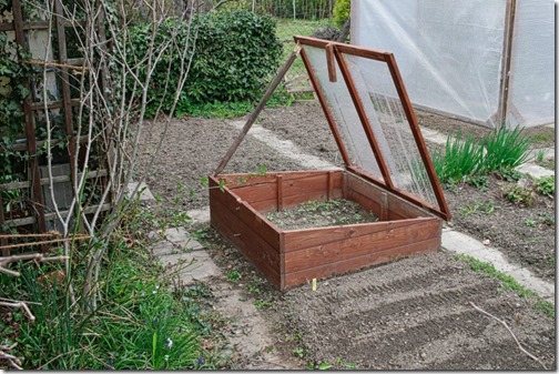 cold frame for early vegetable growing in the garden