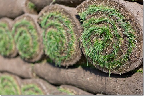 stacks of sod rolls