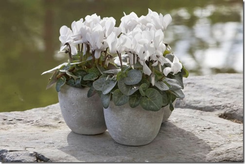 clip_image004