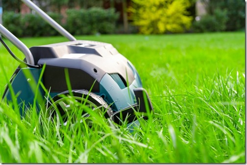 Scarifier on green grass. Work in the garden. scarifier